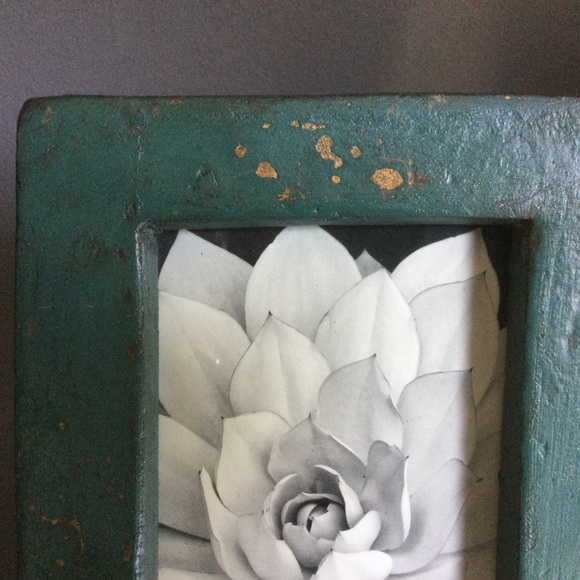 Rustic Green Frame With Black & White Succulent Print - Picture 4 of 5